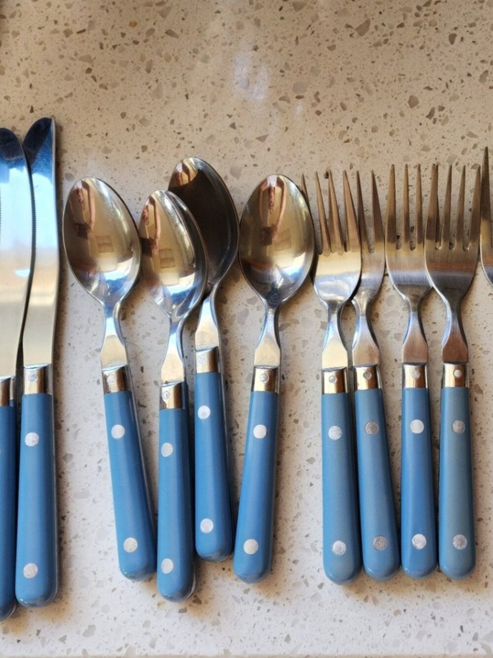 Vintage Washington Forge MARDI GRAS Service for 4 Williamsburg Blue Flatware